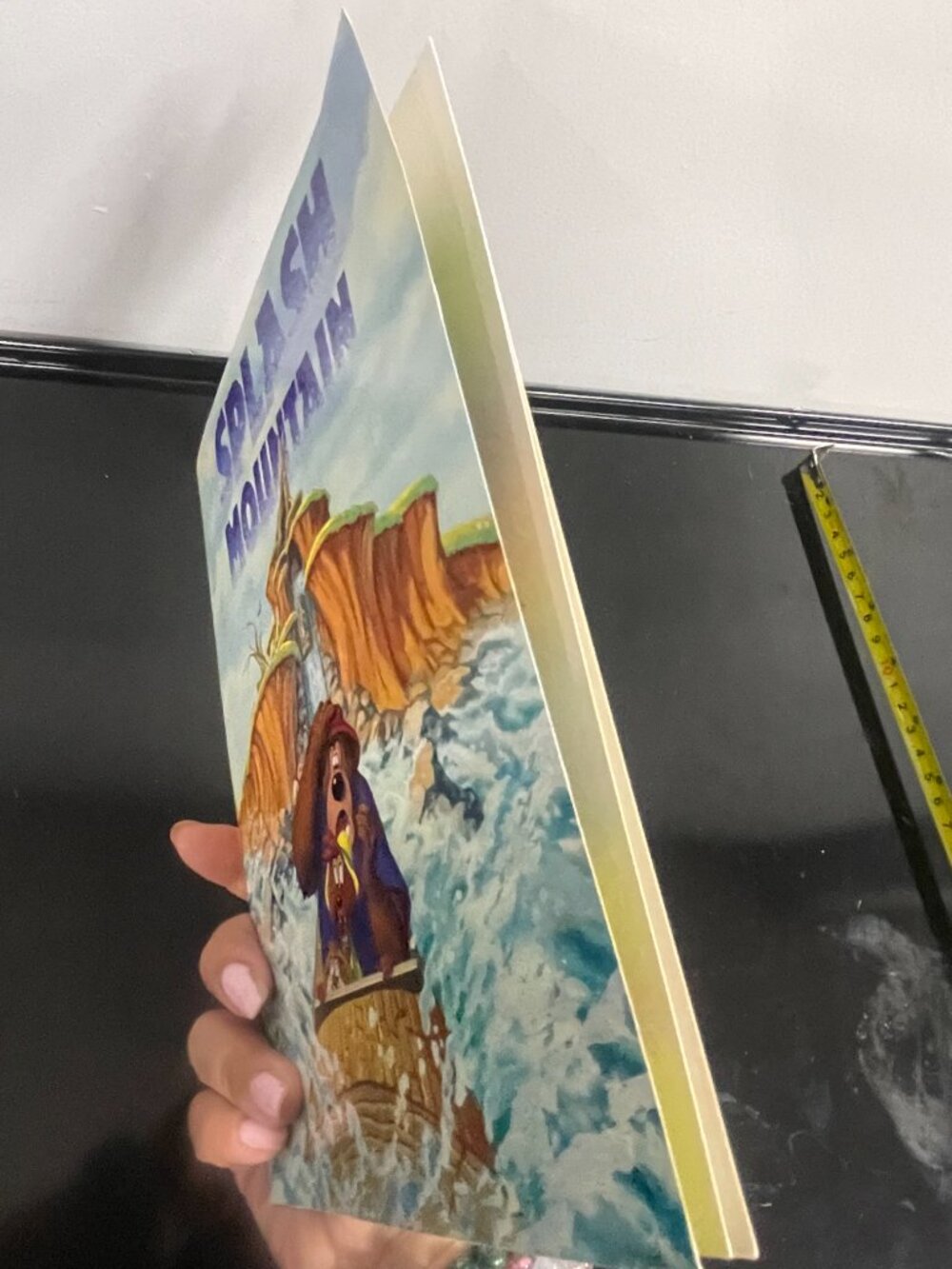 Disneyland Splash Mountain Ride Photo Frame Folder Disney Collectible - Picture 3 of 10